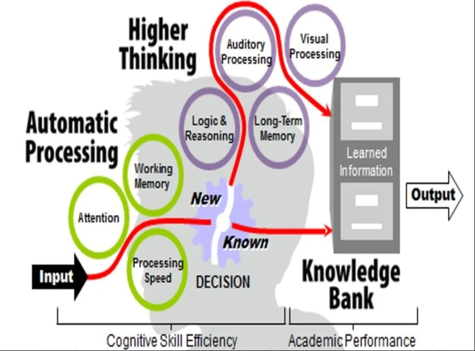 Cognitive skills illustration